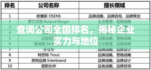 查询公司全国排名，揭秘企业实力与地位