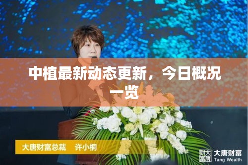 中植最新动态更新，今日概况一览