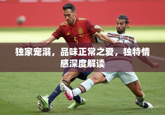 独家宠溺，品味正常之爱，独特情感深度解读