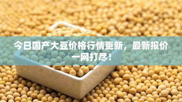 今日国产大豆价格行情更新，最新报价一网打尽！