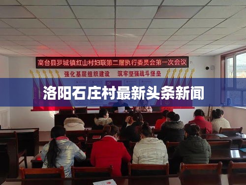 洛阳石庄村最新头条新闻