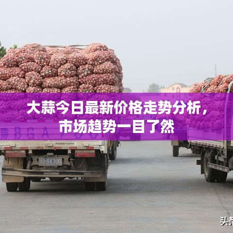 政企行业数字化软件 第8页