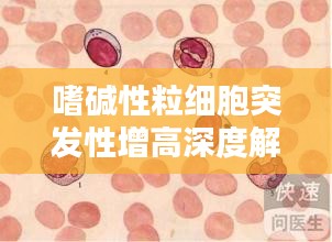 飞珠迸玉
