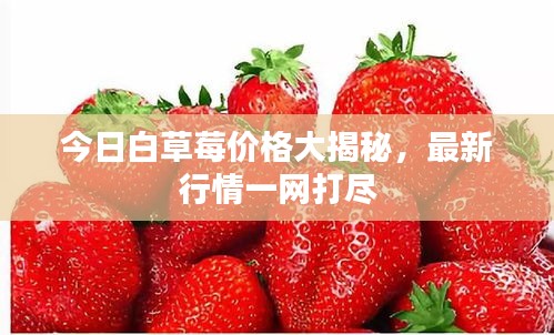 智慧学园SAAS运营服务 第5页