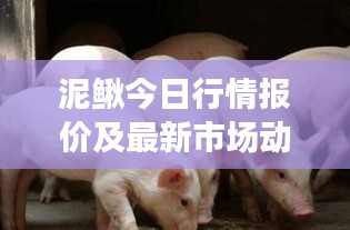 2025年5月12日