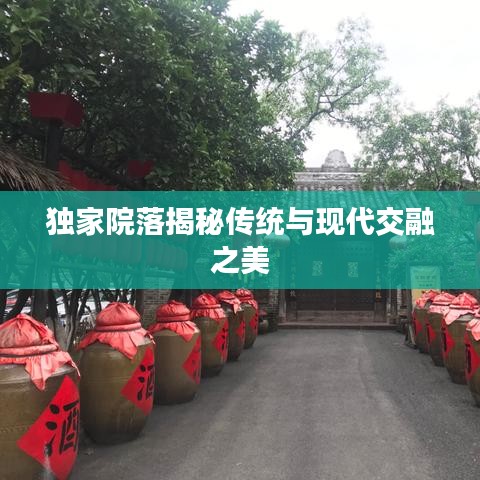 独家院落揭秘传统与现代交融之美