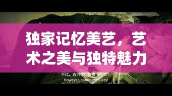 独家记忆美艺，艺术之美与独特魅力的完美交融探索
