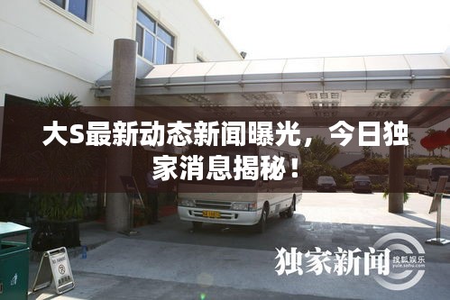 大S最新动态新闻曝光，今日独家消息揭秘！