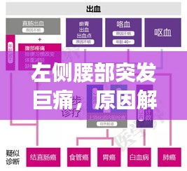 左侧腰部突发巨痛，原因解析、诊断流程与治疗方案