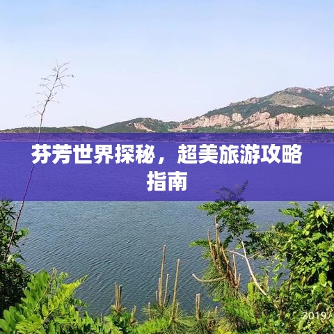 芬芳世界探秘，超美旅游攻略指南