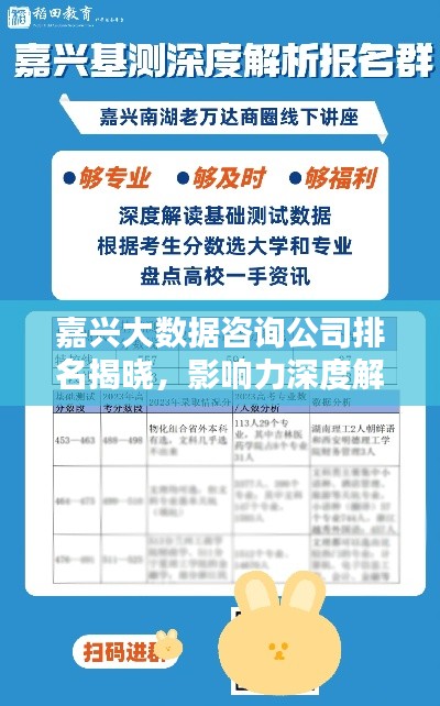 嘉兴大数据咨询公司排名揭晓，影响力深度解析