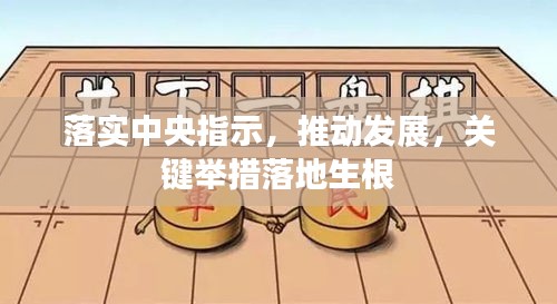 落实中央指示，推动发展，关键举措落地生根