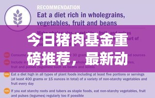 今日猪肉基金重磅推荐，最新动态、策略分析与盈利潜力探讨