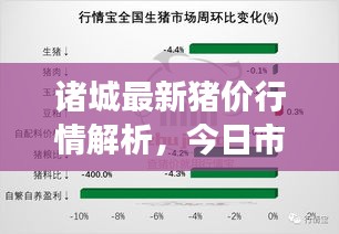 诸城最新猪价行情解析，今日市场走势分析
