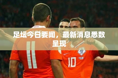 足坛今日要闻，最新消息悉数呈现